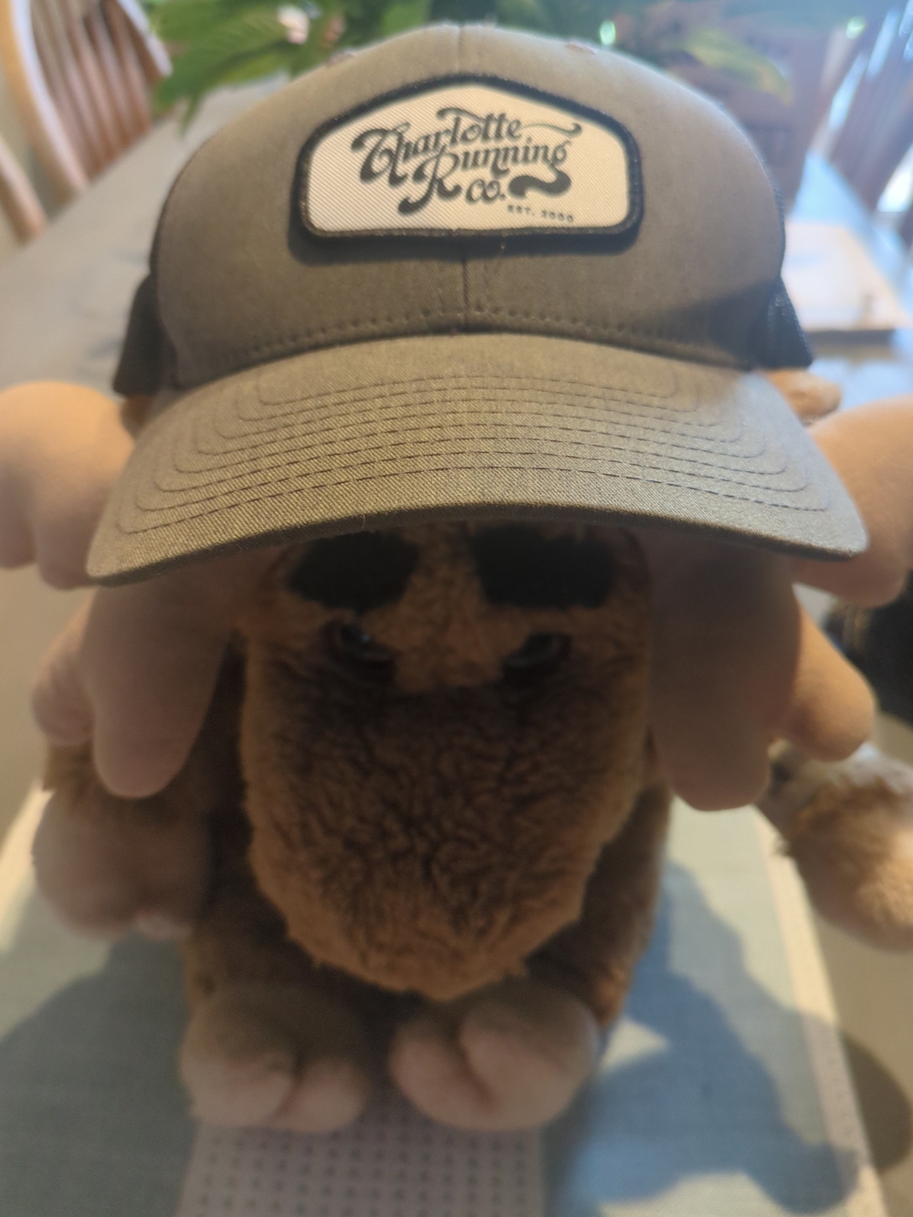 Charlotte Running Company Est 2000 Snapback Cap - Olive Green